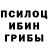 Галлюциногенные грибы Psilocybine cubensis TheRGC Studio