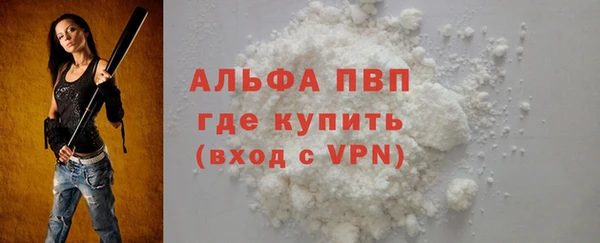 индика Михайлов