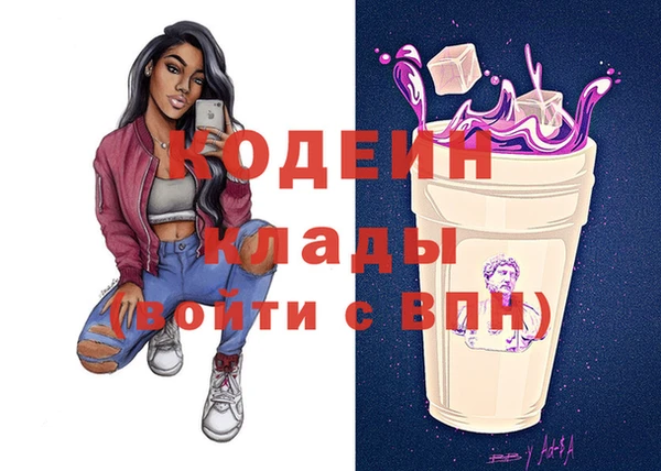 индика Михайлов
