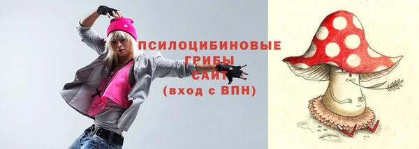 дмт Михайловск