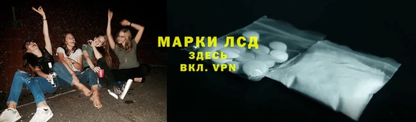 индика Михайлов