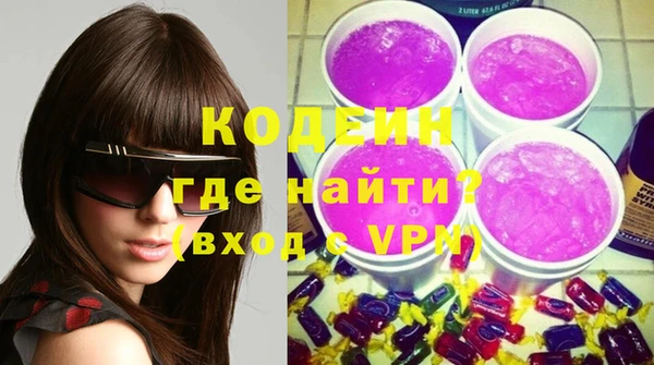 индика Михайлов
