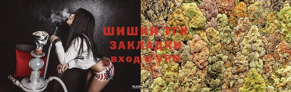 индика Михайлов