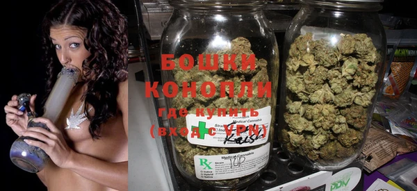 индика Михайлов