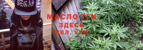 индика Михайлов