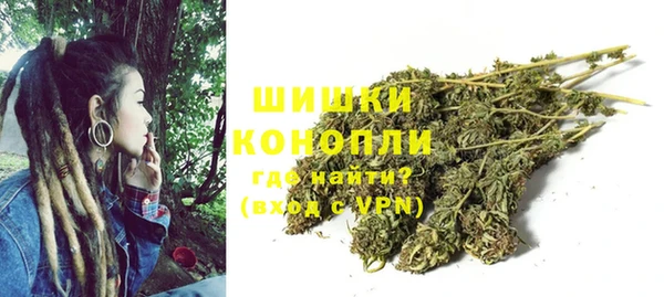 индика Михайлов