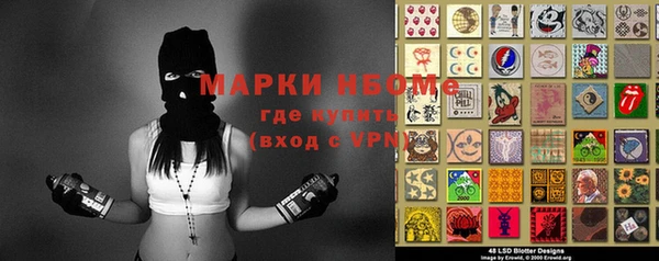 индика Михайлов