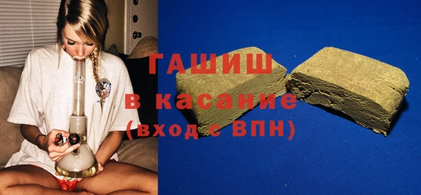 индика Михайлов