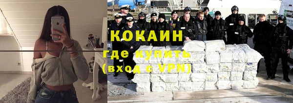 индика Михайлов
