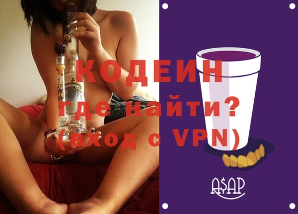 индика Михайлов
