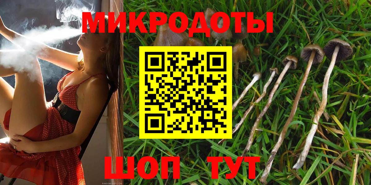 Псилоцибиновые грибы GOLDEN TEACHER  Вход с VPN  Кропоткин 